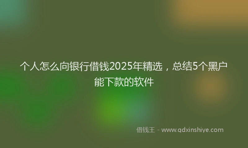 个人怎么向银行借钱2025年精选，总结5个黑户能下款的软件