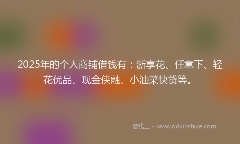 2025年的个人商铺借钱有：浙享花、任意下、轻花优品、现金侠融、小油菜快贷等。