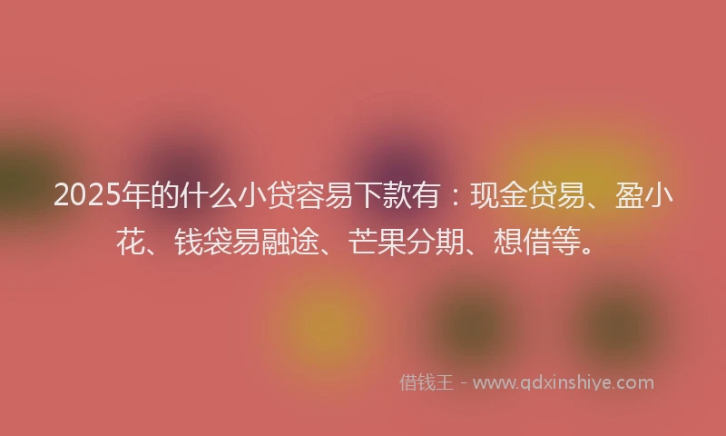 2025年的什么小贷容易下款有：现金贷易、盈小花、钱袋易融途、芒果分期、想借等。
