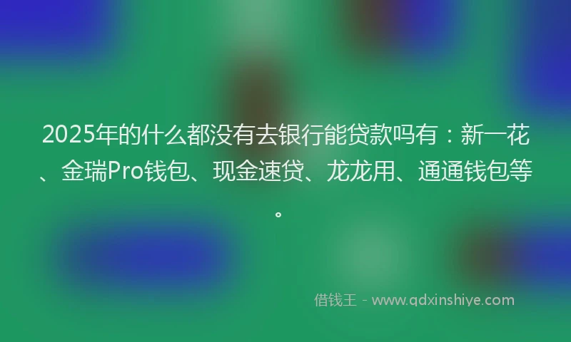 2025年的什么都没有去银行能贷款吗有：新一花、金瑞Pro钱包、现金速贷、龙龙用、通通钱包等。