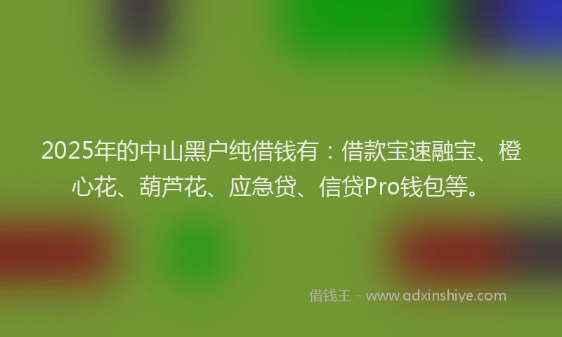 2025年的中山黑户纯借钱有：借款宝速融宝、橙心花、葫芦花、应急贷、信贷Pro钱包等。