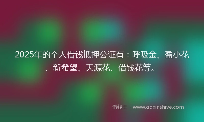 2025年的个人借钱抵押公证有：呼吸金、盈小花、新希望、天源花、借钱花等。