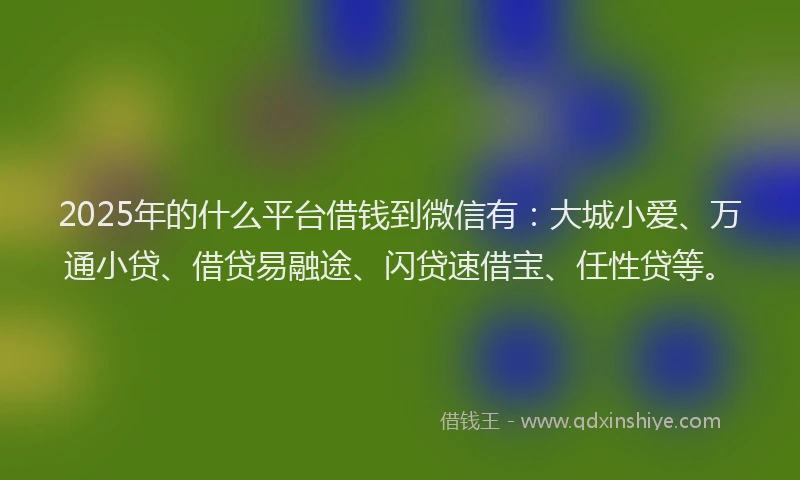 2025年的什么平台借钱到微信有：大城小爱、万通小贷、借贷易融途、闪贷速借宝、任性贷等。