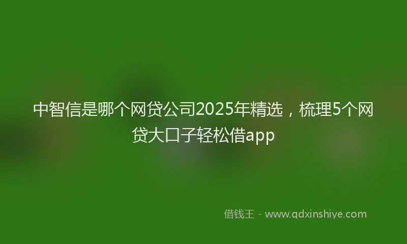 中智信是哪个网贷公司2025年精选，梳理5个网贷大口子轻松借app