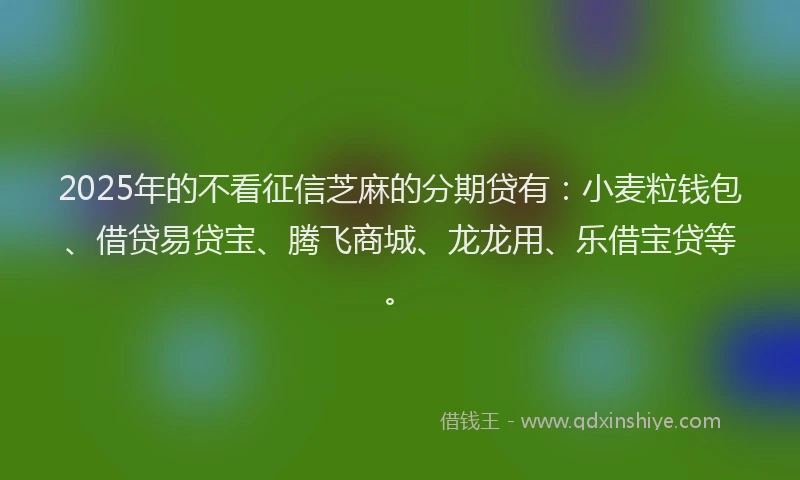 2025年的不看征信芝麻的分期贷有：小麦粒钱包、借贷易贷宝、腾飞商城、龙龙用、乐借宝贷等。