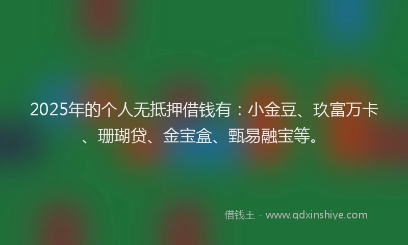 2025年的个人无抵押借钱有：小金豆、玖富万卡、珊瑚贷、金宝盒、甄易融宝等。
