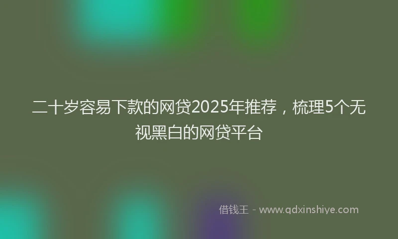 二十岁容易下款的网贷2025年推荐，梳理5个无视黑白的网贷平台