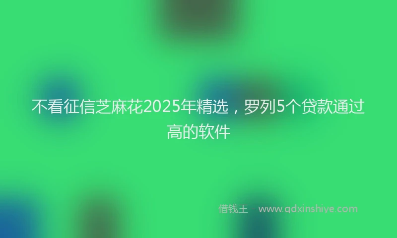 不看征信芝麻花2025年精选，罗列5个贷款通过高的软件