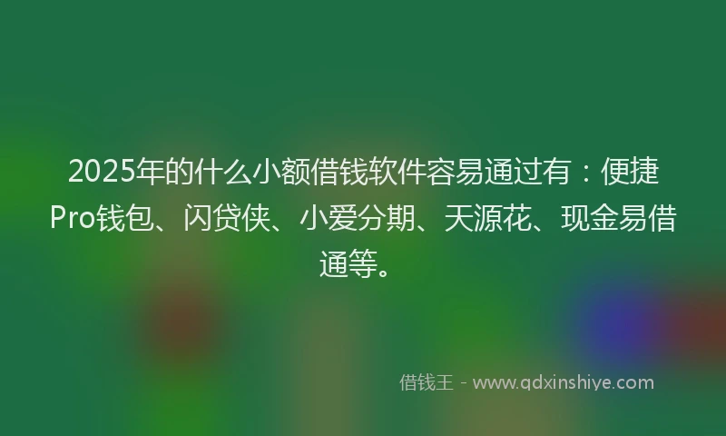 2025年的什么小额借钱软件容易通过有：便捷Pro钱包、闪贷侠、小爱分期、天源花、现金易借通等。