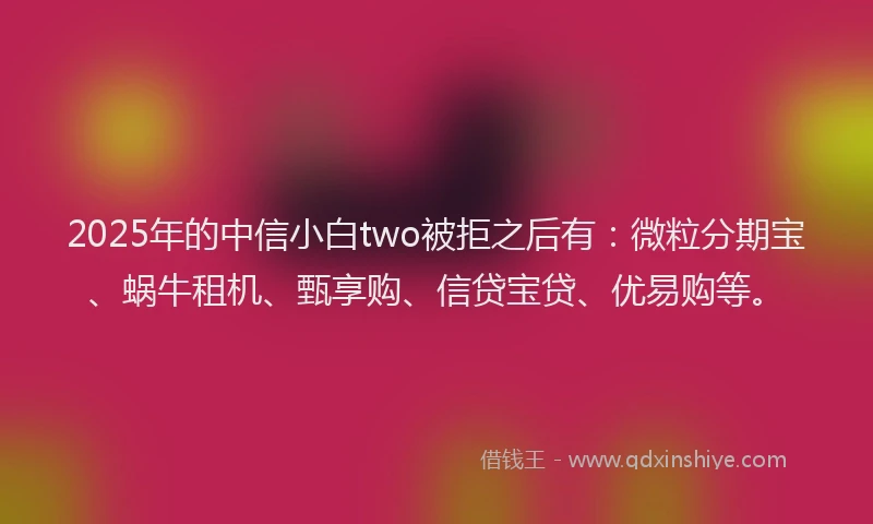 2025年的中信小白two被拒之后有：微粒分期宝、蜗牛租机、甄享购、信贷宝贷、优易购等。