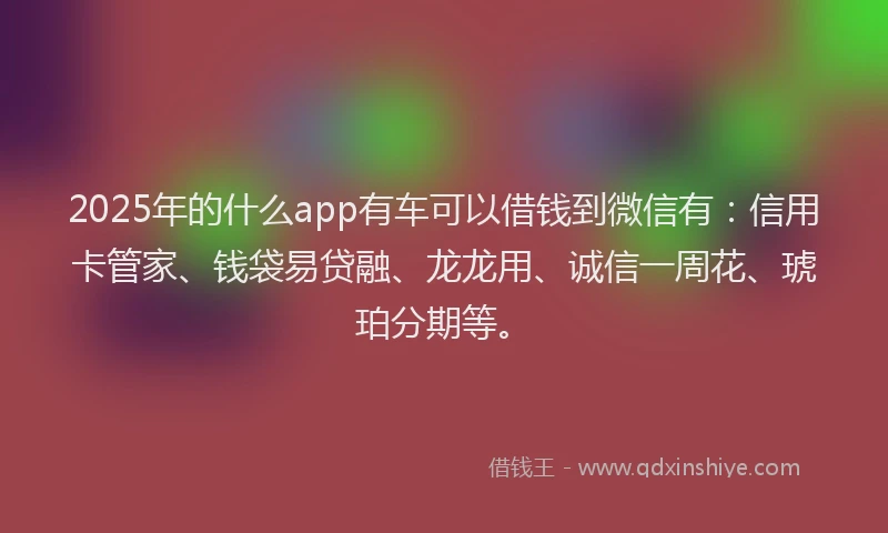 2025年的什么app有车可以借钱到微信有：信用卡管家、钱袋易贷融、龙龙用、诚信一周花、琥珀分期等。