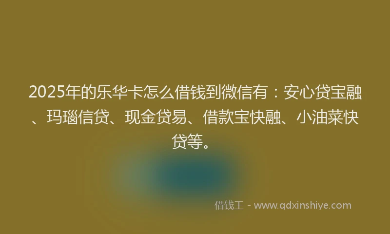 2025年的乐华卡怎么借钱到微信有：安心贷宝融、玛瑙信贷、现金贷易、借款宝快融、小油菜快贷等。