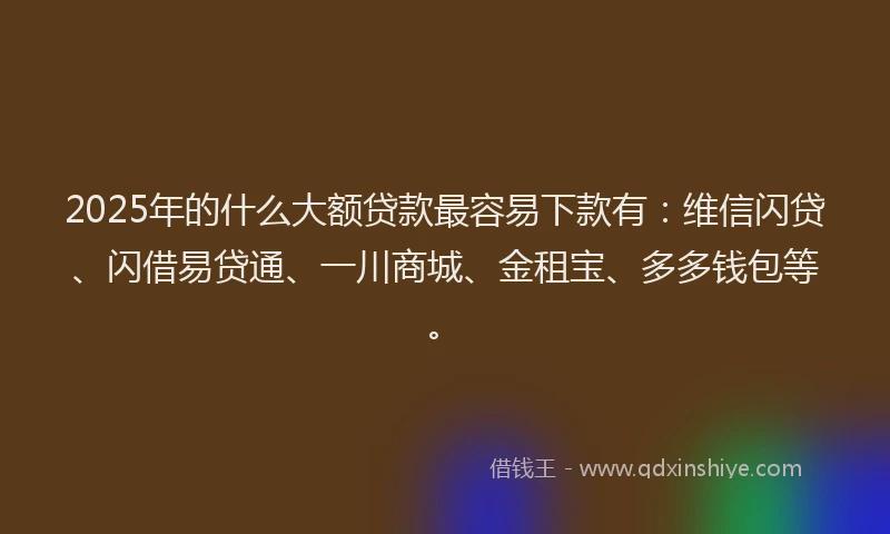 2025年的什么大额贷款最容易下款有：维信闪贷、闪借易贷通、一川商城、金租宝、多多钱包等。
