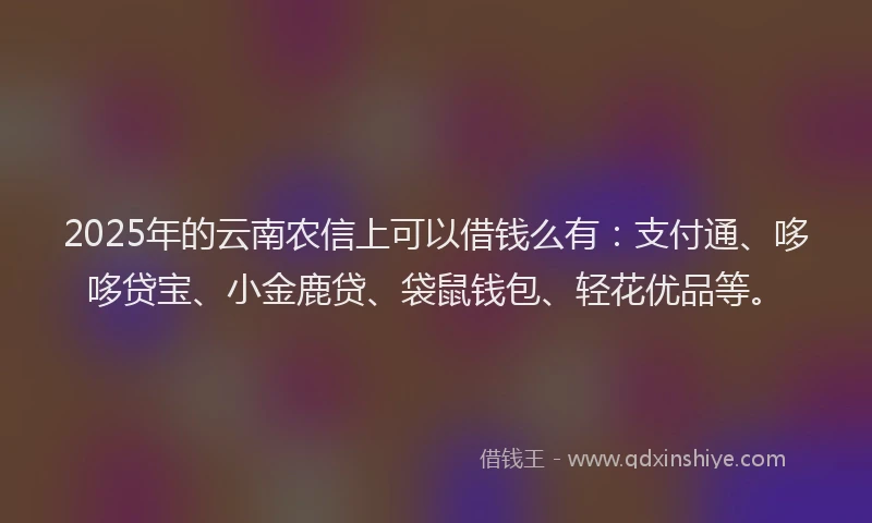 2025年的云南农信上可以借钱么有：支付通、哆哆贷宝、小金鹿贷、袋鼠钱包、轻花优品等。