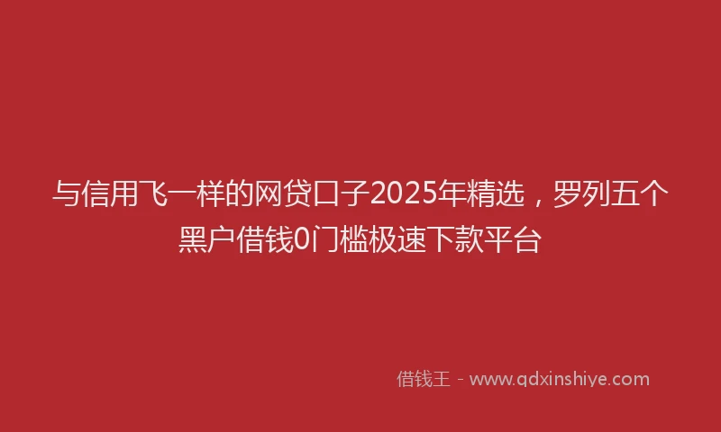 与信用飞一样的网贷口子2025年精选，罗列五个黑户借钱0门槛极速下款平台