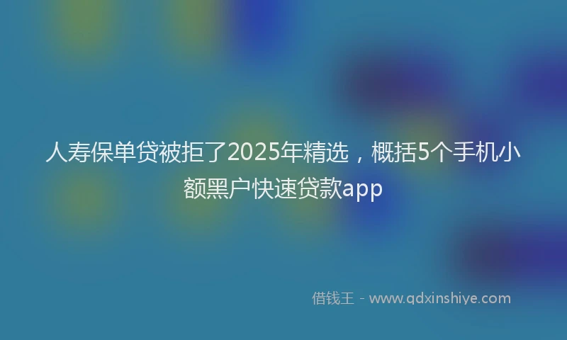 人寿保单贷被拒了2025年精选，概括5个手机小额黑户快速贷款app