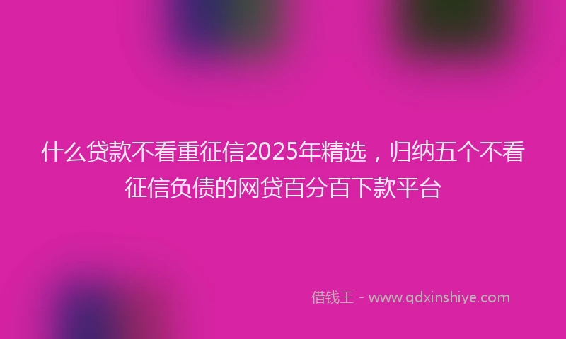 什么贷款不看重征信2025年精选，归纳五个不看征信负债的网贷百分百下款平台