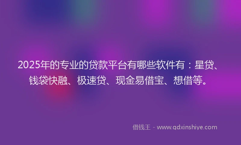 2025年的专业的贷款平台有哪些软件有：星贷、钱袋快融、极速贷、现金易借宝、想借等。
