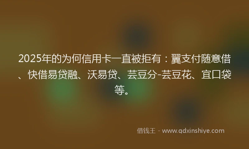 2025年的为何信用卡一直被拒有：翼支付随意借、快借易贷融、沃易贷、芸豆分-芸豆花、宜口袋等。