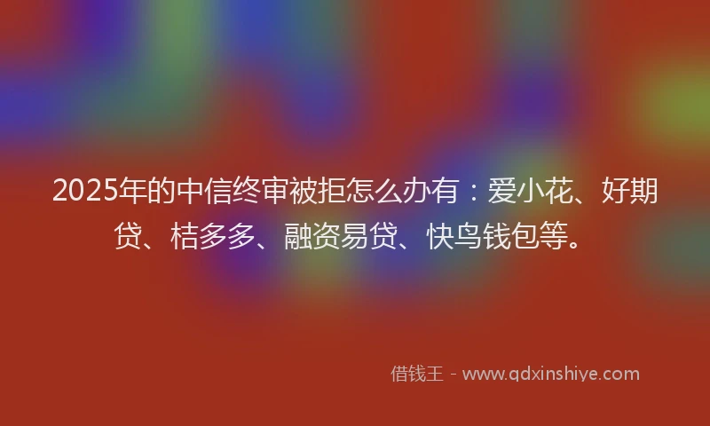 2025年的中信终审被拒怎么办有：爱小花、好期贷、桔多多、融资易贷、快鸟钱包等。