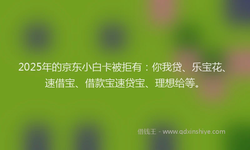 2025年的京东小白卡被拒有：你我贷、乐宝花、速借宝、借款宝速贷宝、理想给等。