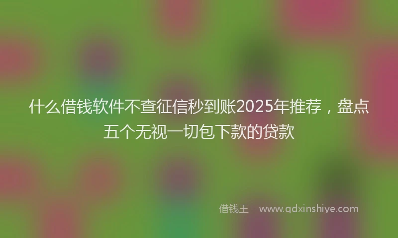什么借钱软件不查征信秒到账2025年推荐，盘点五个无视一切包下款的贷款