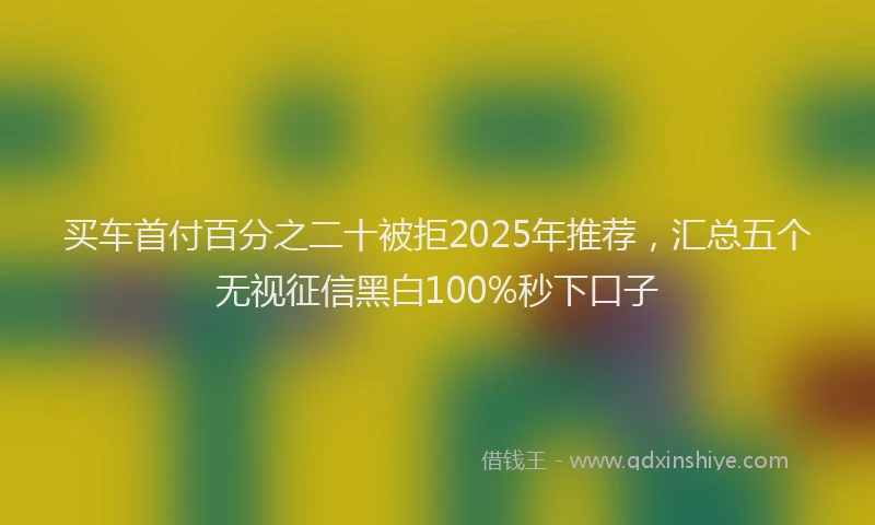 买车首付百分之二十被拒2025年推荐，汇总五个无视征信黑白100%秒下口子