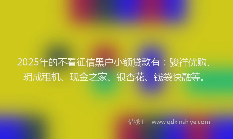 2025年的不看征信黑户小额贷款有：骏祥优购、玥成租机、现金之家、银杏花、钱袋快融等。