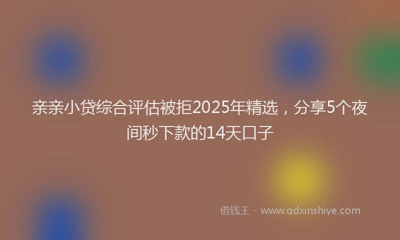 亲亲小贷综合评估被拒2025年精选，分享5个夜间秒下款的14天口子