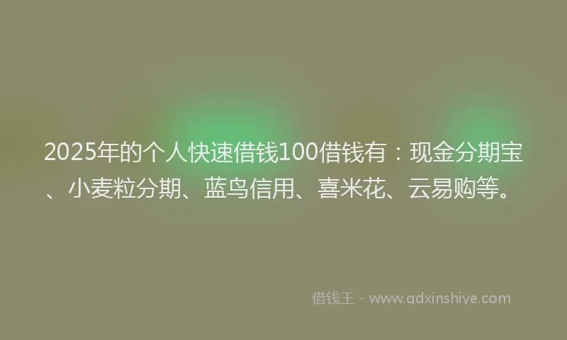2025年的个人快速借钱100借钱有：现金分期宝、小麦粒分期、蓝鸟信用、喜米花、云易购等。