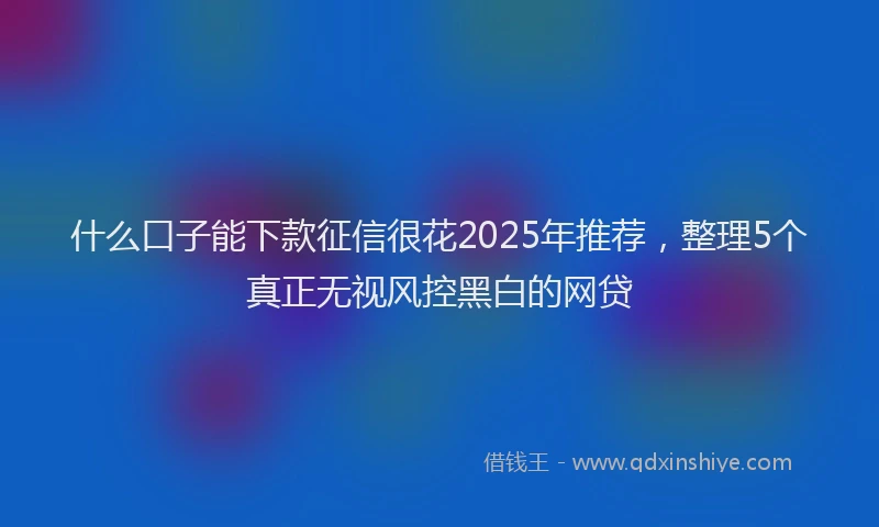 什么口子能下款征信很花2025年推荐，整理5个真正无视风控黑白的网贷