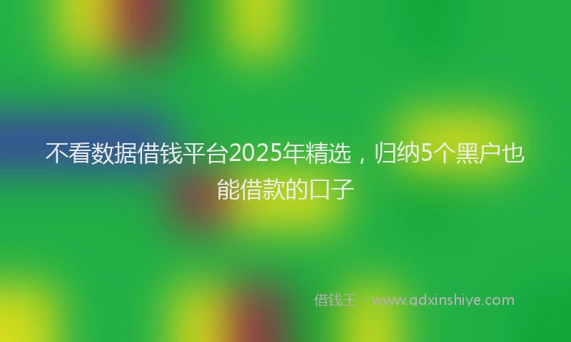 不看数据借钱平台2025年精选，归纳5个黑户也能借款的口子
