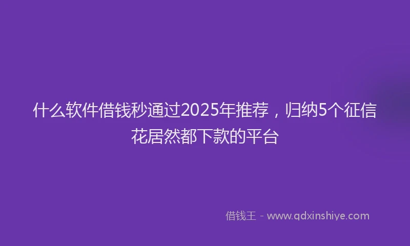 什么软件借钱秒通过2025年推荐，归纳5个征信花居然都下款的平台