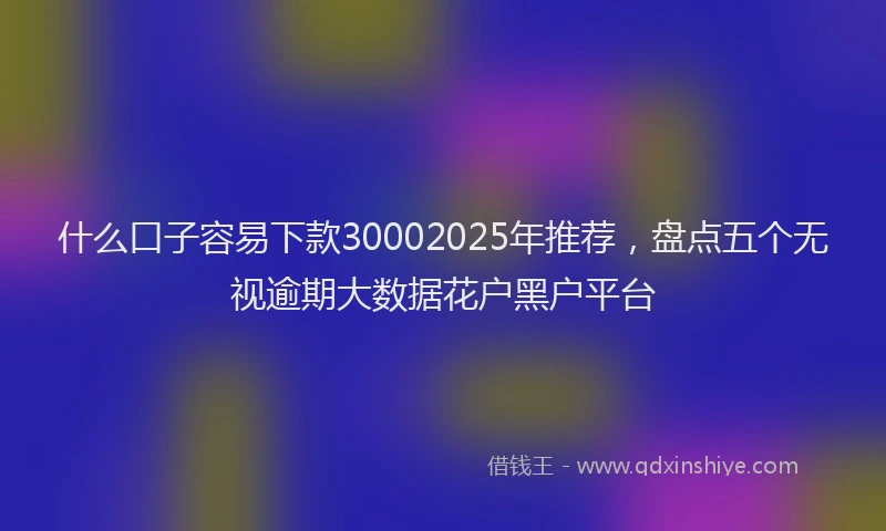 什么口子容易下款30002025年推荐，盘点五个无视逾期大数据花户黑户平台