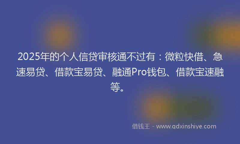 2025年的个人信贷审核通不过有：微粒快借、急速易贷、借款宝易贷、融通Pro钱包、借款宝速融等。