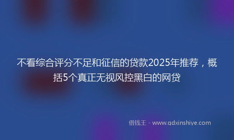 不看综合评分不足和征信的贷款2025年推荐，概括5个真正无视风控黑白的网贷