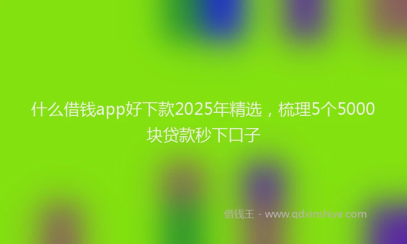 什么借钱app好下款2025年精选，梳理5个5000块贷款秒下口子