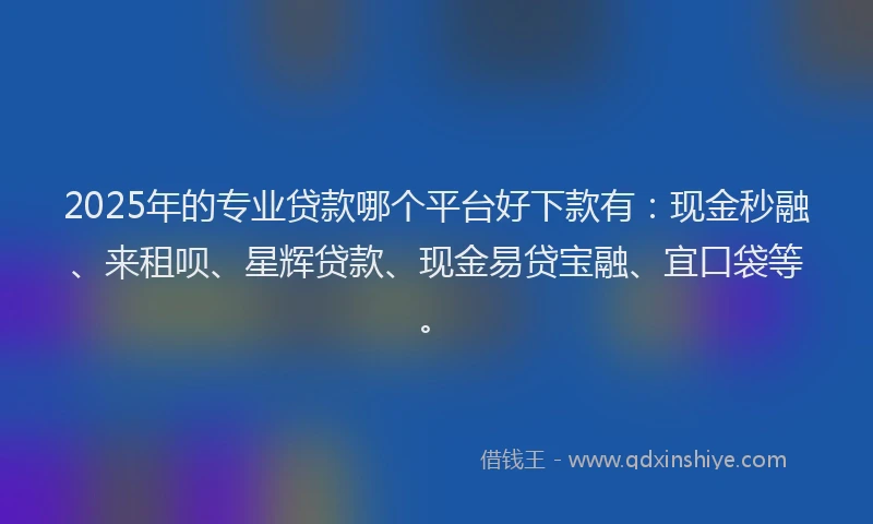 2025年的专业贷款哪个平台好下款有：现金秒融、来租呗、星辉贷款、现金易贷宝融、宜口袋等。