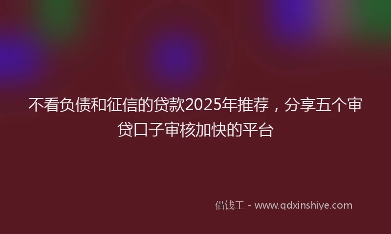 不看负债和征信的贷款2025年推荐，分享五个审贷口子审核加快的平台