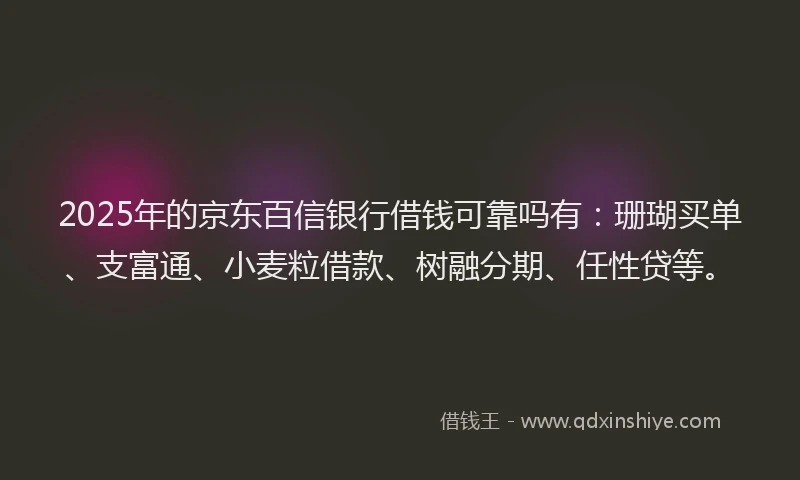 2025年的京东百信银行借钱可靠吗有：珊瑚买单、支富通、小麦粒借款、树融分期、任性贷等。
