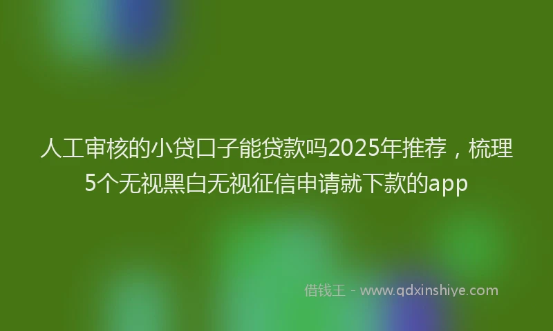 人工审核的小贷口子能贷款吗2025年推荐，梳理5个无视黑白无视征信申请就下款的app