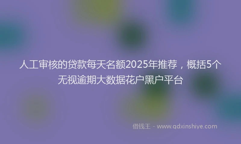 人工审核的贷款每天名额2025年推荐，概括5个无视逾期大数据花户黑户平台