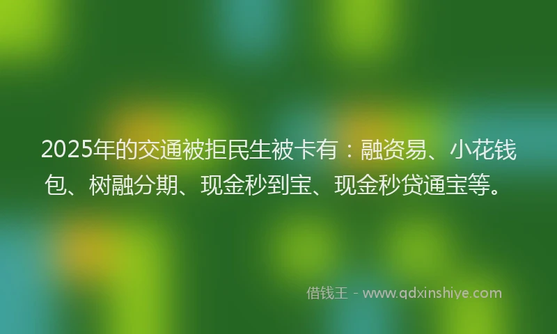 2025年的交通被拒民生被卡有：融资易、小花钱包、树融分期、现金秒到宝、现金秒贷通宝等。