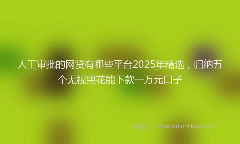 人工审批的网贷有哪些平台2025年精选，归纳五个无视黑花能下款一万元口子