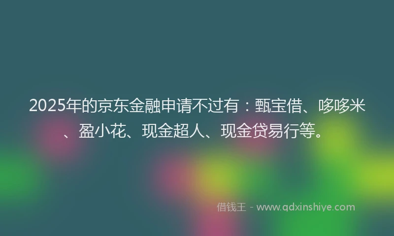 2025年的京东金融申请不过有：甄宝借、哆哆米、盈小花、现金超人、现金贷易行等。