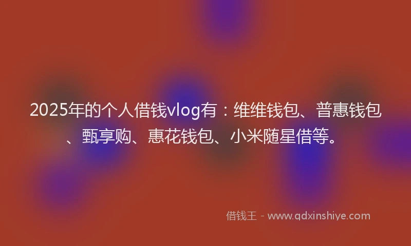 2025年的个人借钱vlog有：维维钱包、普惠钱包、甄享购、惠花钱包、小米随星借等。