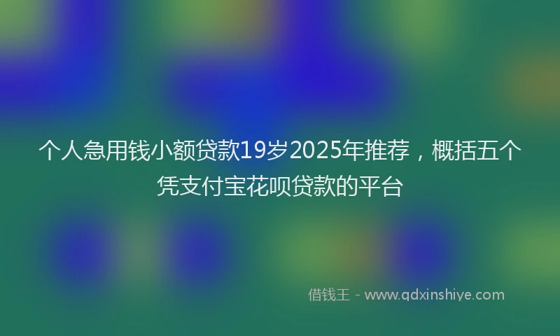 个人急用钱小额贷款19岁2025年推荐，概括五个凭支付宝花呗贷款的平台