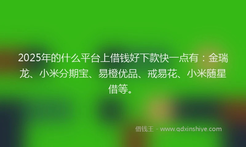 2025年的什么平台上借钱好下款快一点有：金瑞龙、小米分期宝、易橙优品、戒易花、小米随星借等。