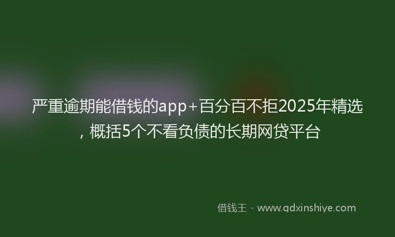 严重逾期能借钱的app+百分百不拒2025年精选，概括5个不看负债的长期网贷平台