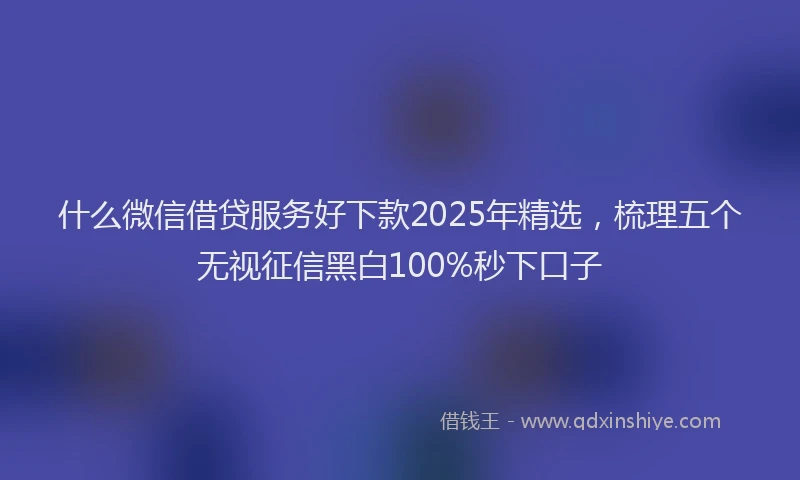 什么微信借贷服务好下款2025年精选，梳理五个无视征信黑白100%秒下口子